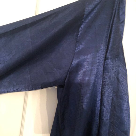 Silk Robe - Picture 3 of 5